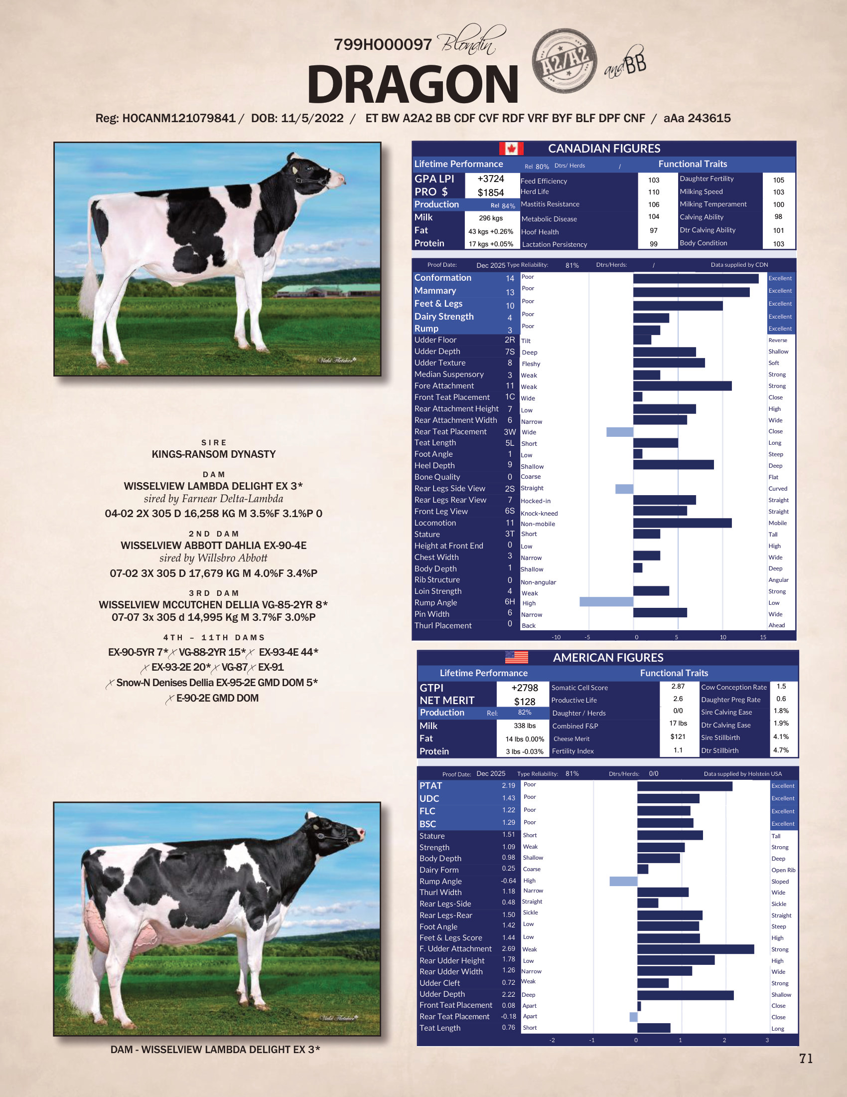 DRAGON — 799HO00097